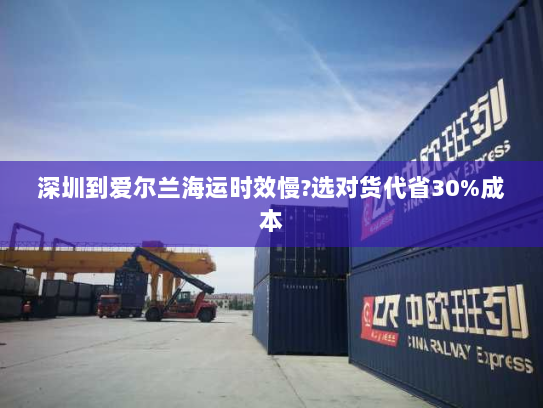 深圳到爱尔兰海运时效慢?选对货代省30%成本