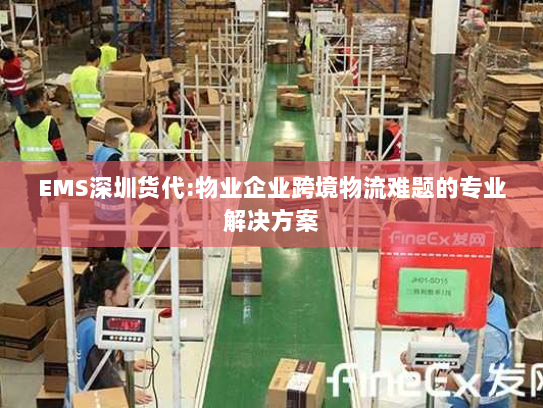 EMS深圳货代:物业企业跨境物流难题的专业解决方案