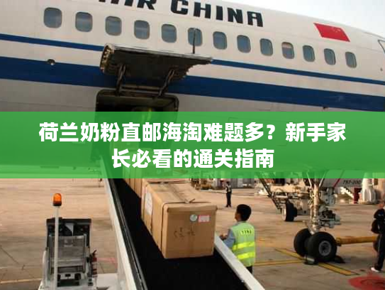 荷兰奶粉直邮海淘难题多？新手家长必看的通关指南