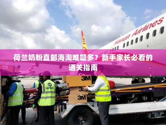 荷兰奶粉直邮海淘难题多？新手家长必看的通关指南