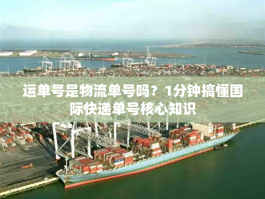 运单号是物流单号吗?1分钟搞懂国际快递单号核心知识 运单号是物流单号吗?1分钟搞懂国际快递单号核心知识