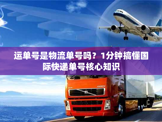 运单号是物流单号吗?1分钟搞懂国际快递单号核心知识 运单号是物流单号吗?1分钟搞懂国际快递单号核心知识