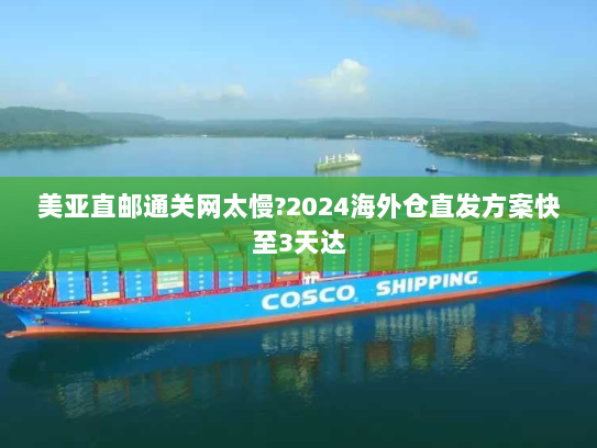 美亚直邮通关网太慢?2024海外仓直发方案快至3天达