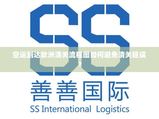 空运到达欧洲清关流程图如何避免清关延误？