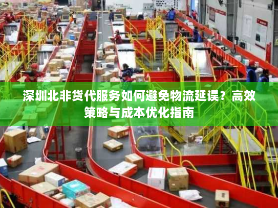 深圳北非货代服务如何避免物流延误？高效策略与成本优化指南