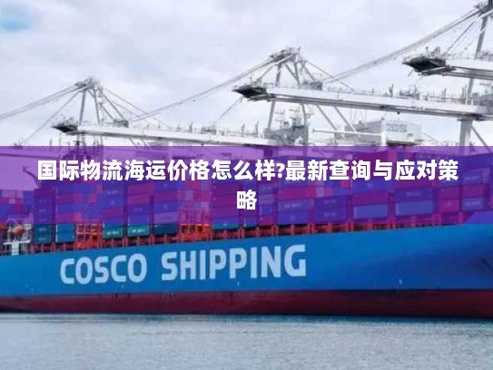 国际物流海运价格怎么样?最新查询与应对策略