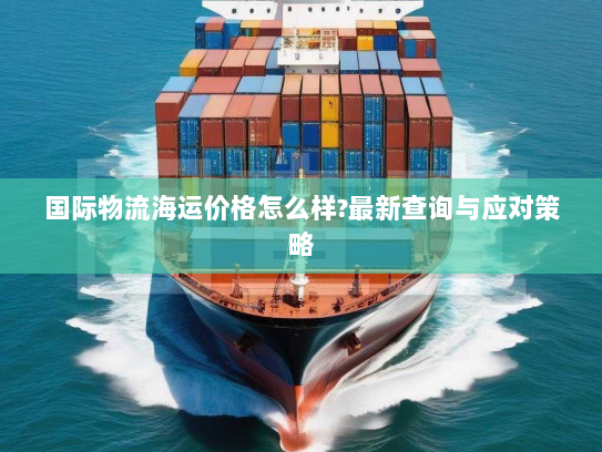 国际物流海运价格怎么样?最新查询与应对策略