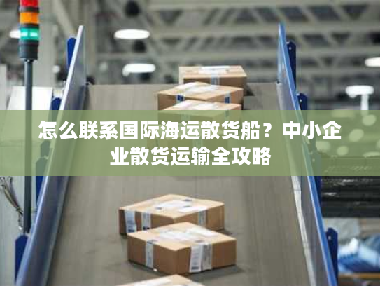 怎么联系国际海运散货船？中小企业散货运输全攻略