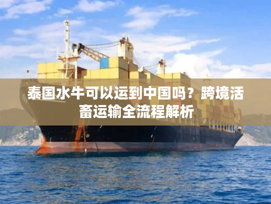 泰国水牛可以运到中国吗？跨境活畜运输全流程解析