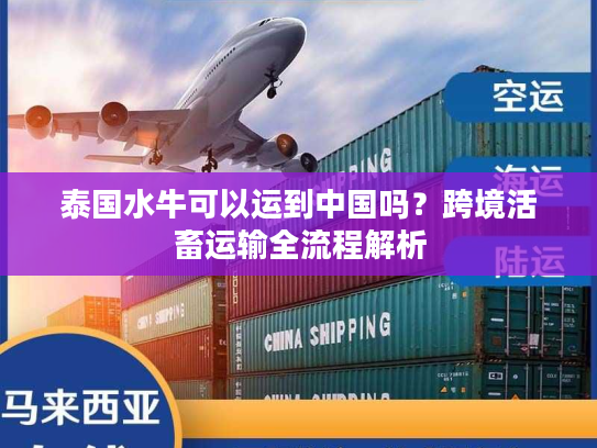 泰国水牛可以运到中国吗？跨境活畜运输全流程解析
