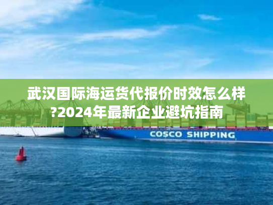武汉国际海运货代报价时效怎么样?2024年最新企业避坑指南