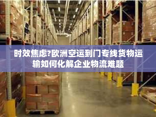 时效焦虑?欧洲空运到门专线货物运输如何化解企业物流难题 时效焦虑?欧洲空运到门专线货物运输如何化解企业物流难题