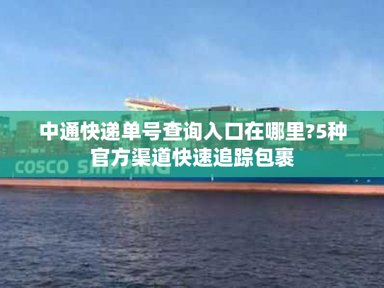 中通快递单号查询入口在哪里?5种官方渠道快速追踪包裹