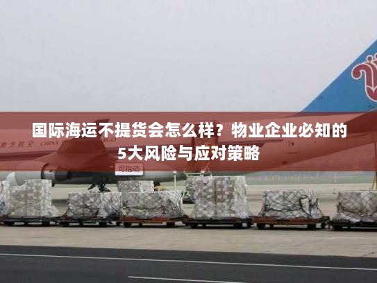 国际海运不提货会怎么样？物业企业必知的5大风险与应对策略