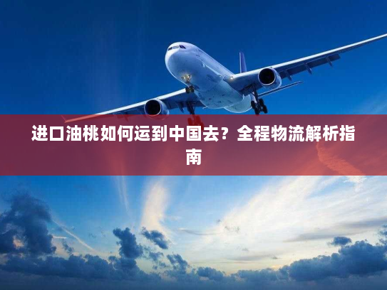 进口油桃如何运到中国去？全程物流解析指南