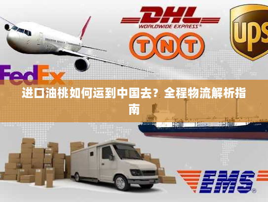 进口油桃如何运到中国去？全程物流解析指南