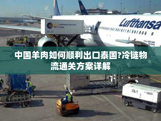 中国羊肉如何顺利出口泰国?冷链物流通关方案详解