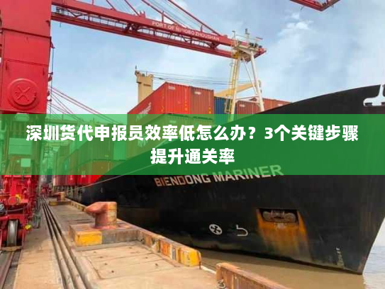 深圳货代申报员效率低怎么办？3个关键步骤提升通关率