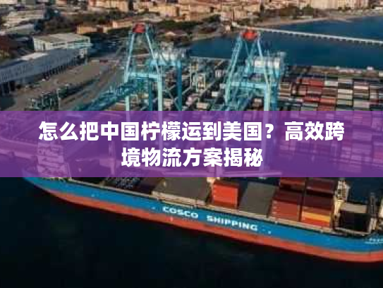 怎么把中国柠檬运到美国？高效跨境物流方案揭秘