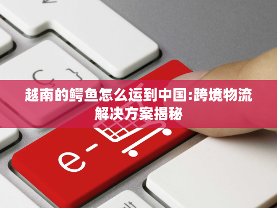 越南的鳄鱼怎么运到中国:跨境物流解决方案揭秘