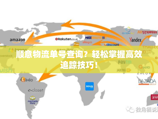 顺意物流单号查询？轻松掌握高效追踪技巧！