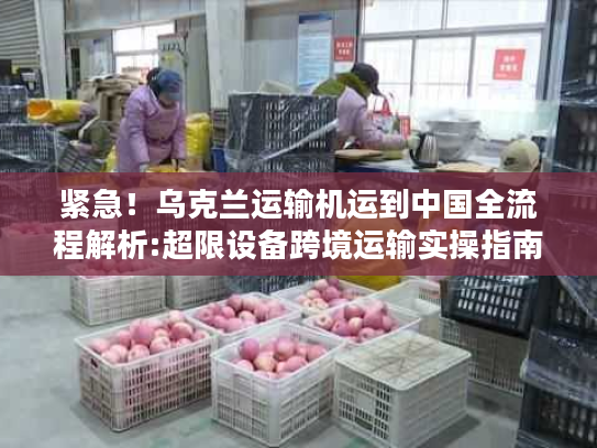 紧急！乌克兰运输机运到中国全流程解析:超限设备跨境运输实操指南