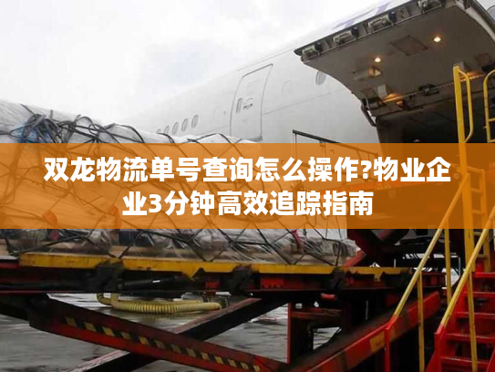 双龙物流单号查询怎么操作?物业企业3分钟高效追踪指南