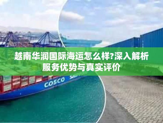 越南华润国际海运怎么样?深入解析服务优势与真实评价