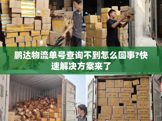 鹏达物流单号查询不到怎么回事?快速解决方案来了 鹏达物流单号查询不到怎么回事?快速解决方案来了