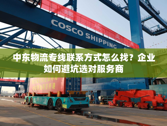 中东物流专线联系方式怎么找？企业如何避坑选对服务商