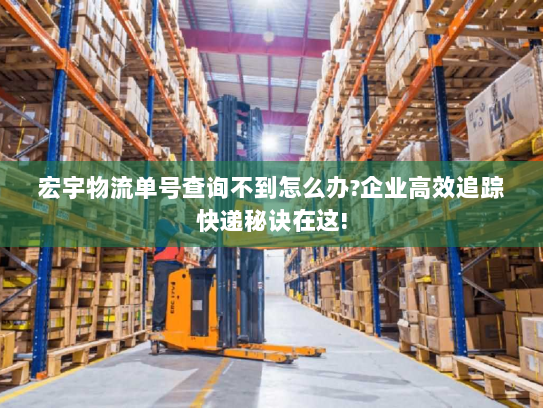 宏宇物流单号查询不到怎么办?企业高效追踪快递秘诀在这!