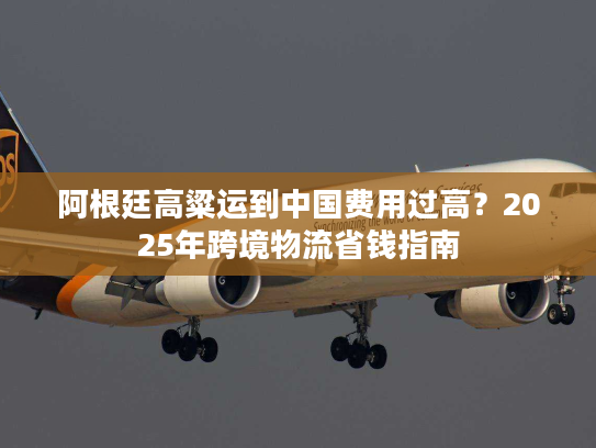 阿根廷高粱运到中国费用过高？2025年跨境物流省钱指南