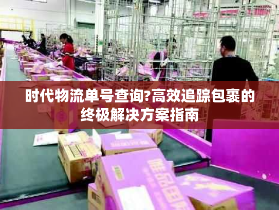 时代物流单号查询?高效追踪包裹的终极解决方案指南