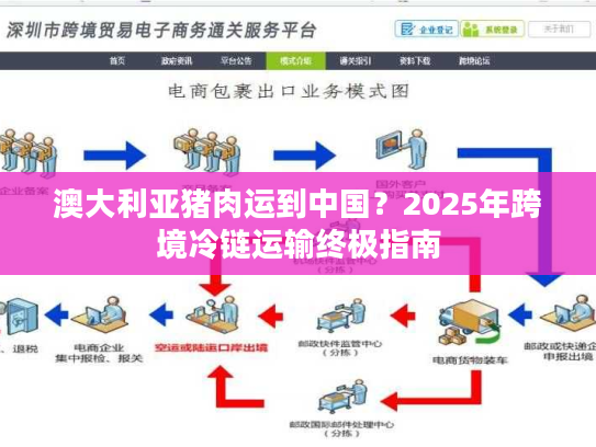 澳大利亚猪肉运到中国？2025年跨境冷链运输终极指南
