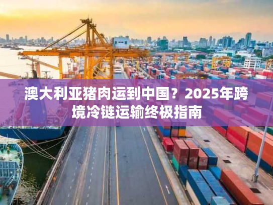 澳大利亚猪肉运到中国？2025年跨境冷链运输终极指南