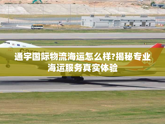 通宇国际物流海运怎么样?揭秘专业海运服务真实体验