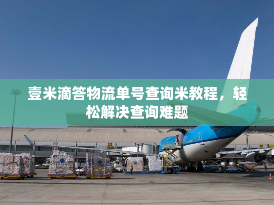 壹米滴答物流单号查询米教程，轻松解决查询难题