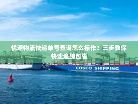 优速物流快递单号查询怎么操作？三步教你快速追踪包裹