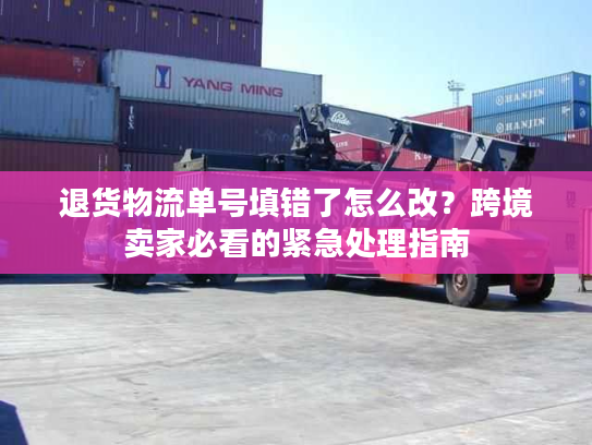 退货物流单号填错了怎么改？跨境卖家必看的紧急处理指南