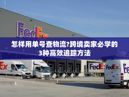 怎样用单号查物流?跨境卖家必学的3种高效追踪方法