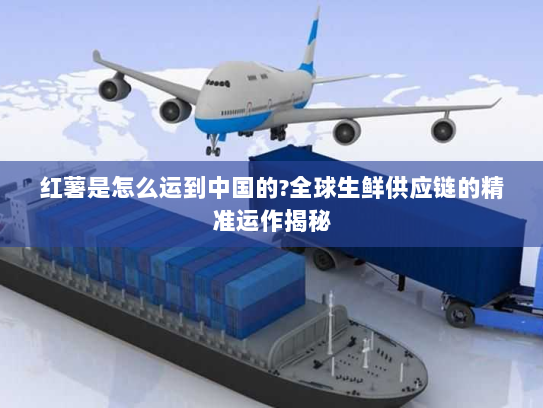 红薯是怎么运到中国的?全球生鲜供应链的精准运作揭秘