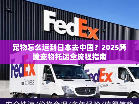 宠物怎么运到日本去中国？2025跨境宠物托运全流程指南