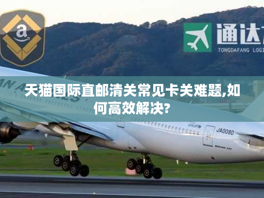 天猫国际直邮清关常见卡关难题,如何高效解决?