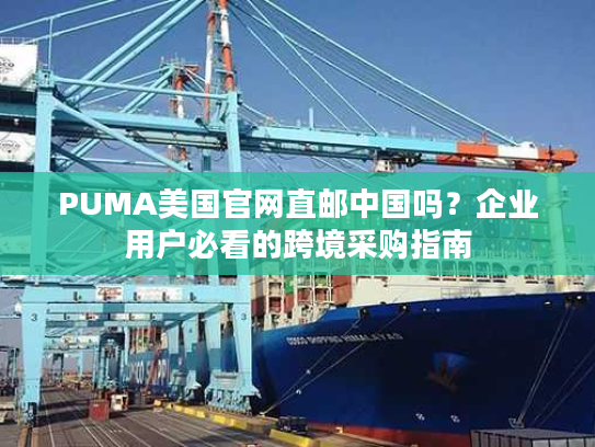 PUMA美国官网直邮中国吗?企业用户必看的跨境采购指南 PUMA美国官网直邮中国吗?企业用户必看的跨境采购指南