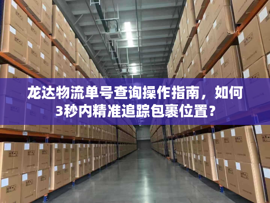 龙达物流单号查询操作指南，如何3秒内精准追踪包裹位置？