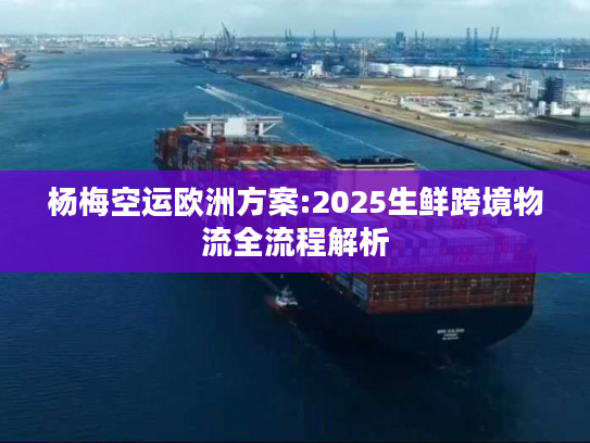 杨梅空运欧洲方案:2025生鲜跨境物流全流程解析 杨梅空运欧洲方案:2025生鲜跨境物流全流程解析