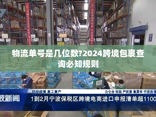 物流单号是几位数?2024跨境包裹查询必知规则