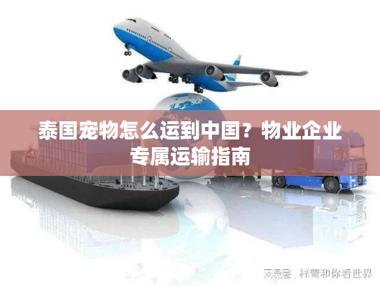 泰国宠物怎么运到中国？物业企业专属运输指南