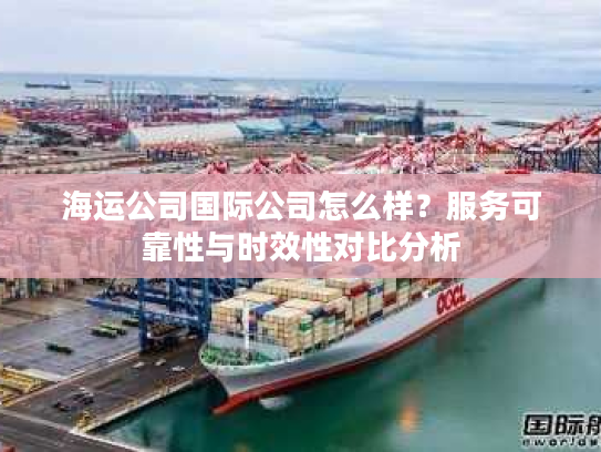海运公司国际公司怎么样？服务可靠性与时效性对比分析