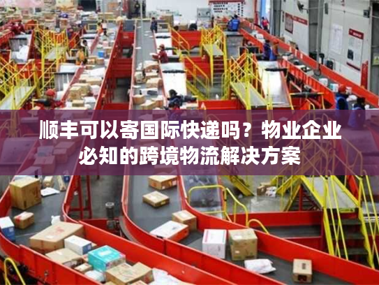 顺丰可以寄国际快递吗？物业企业必知的跨境物流解决方案